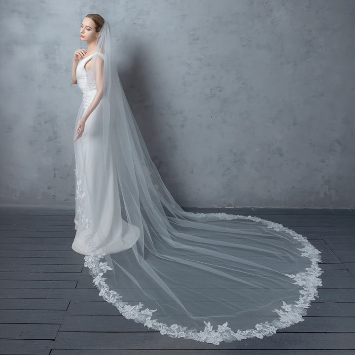 Embroidered Floral Vine Bridal Veil with Rhinestones, Fine Illusion Tulle, Cathedral Length FS6231