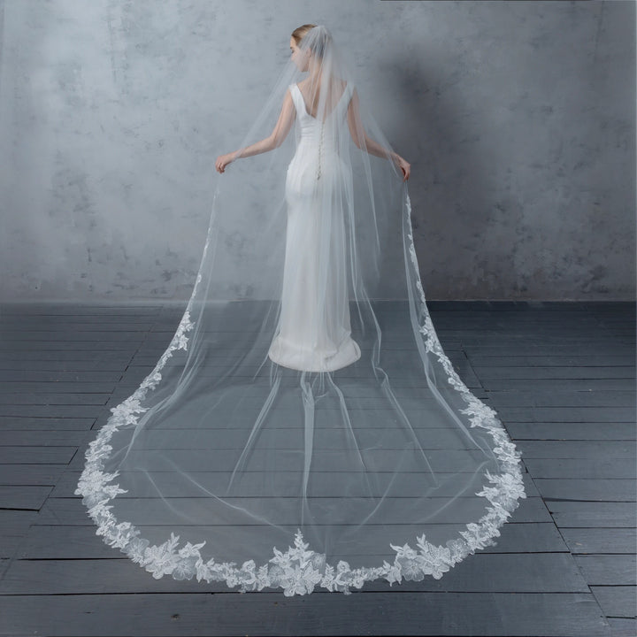 Embroidered Floral Vine Bridal Veil with Rhinestones, Fine Illusion Tulle, Cathedral Length FS6231