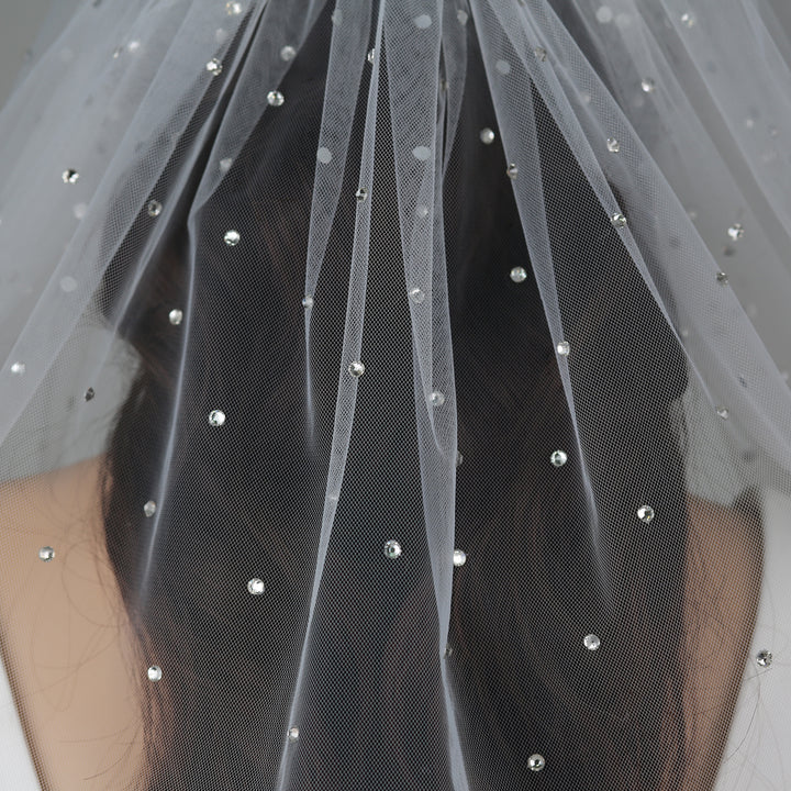 FS6256 cathedral-length bridal veil with intricate lace embroidery, full-length view.